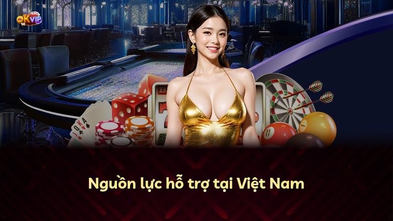 Nguồn lực hỗ trợ tại Việt Nam