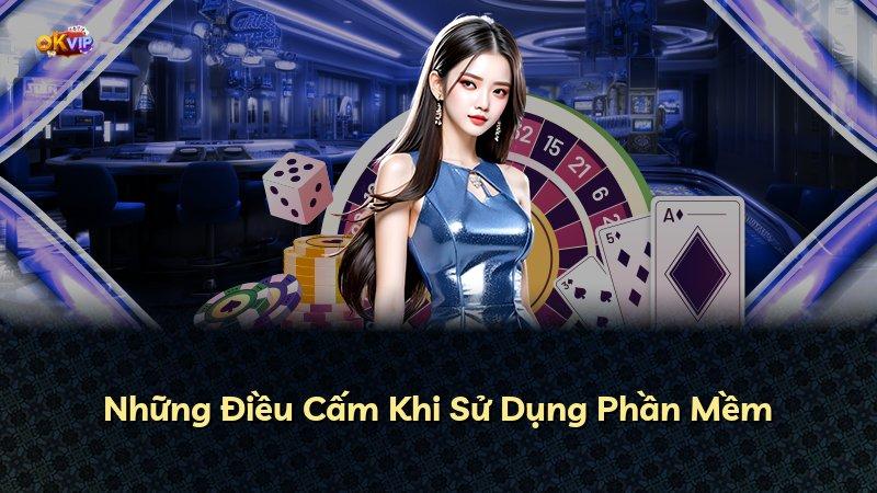 Những Điều Cấm Khi Sử Dụng Phần Mềm