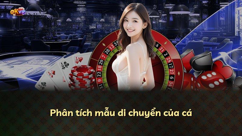 Phân tích mẫu di chuyển của cá