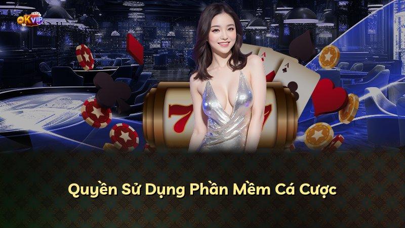 Quyền Sử Dụng Phần Mềm Cá Cược